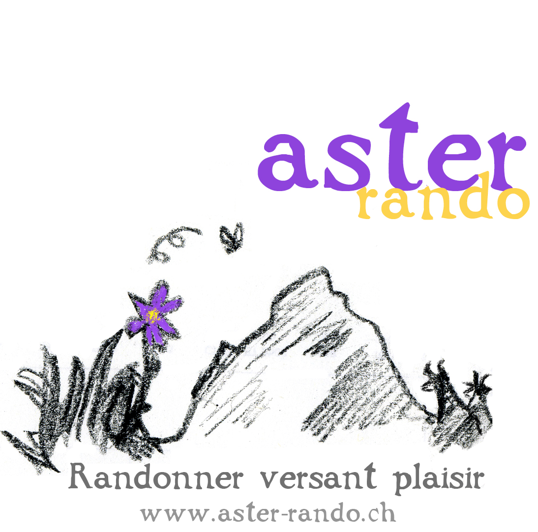 Aster rando